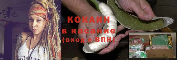 PSILOCYBIN Магас