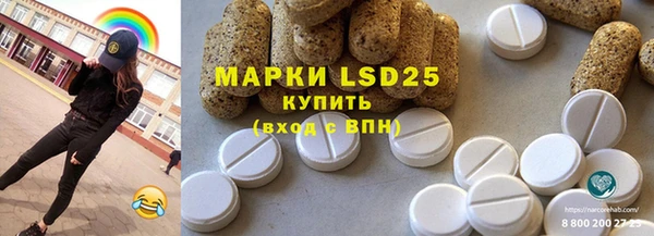 PSILOCYBIN Магас