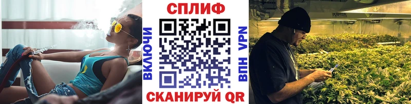 Бошки Шишки THC 21%  Монино 